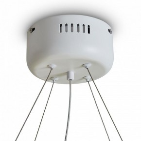 Подвесной светильник Freya Rain FR5546PL-L60W в Можге - mozhga.ok-mebel.com | фото 9