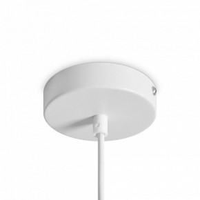Подвесной светильник Freya Shapes FR5530PL-L10W в Можге - mozhga.ok-mebel.com | фото 5