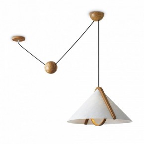 Подвесной светильник Freya Umbra FR5554CL-01T в Можге - mozhga.ok-mebel.com | фото 2