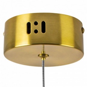 Подвесной светильник Lightstar Botto 800033 в Можге - mozhga.ok-mebel.com | фото 7