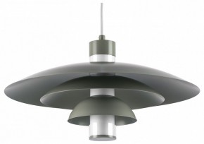 Подвесной светильник Lightstar Erbareo 799019 в Можге - mozhga.ok-mebel.com | фото
