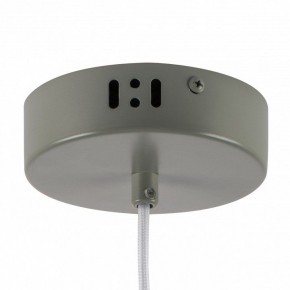 Подвесной светильник Lightstar Erbareo 799019 в Можге - mozhga.ok-mebel.com | фото 5