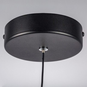 Подвесной светильник Lightstar Saturno 749017 в Можге - mozhga.ok-mebel.com | фото 12