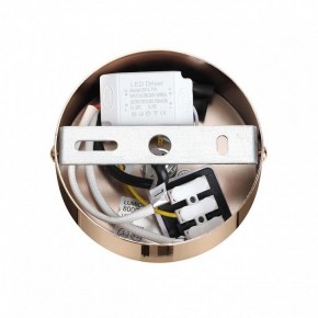 Подвесной светильник Lumion Cristie 8009/6L в Можге - mozhga.ok-mebel.com | фото 6