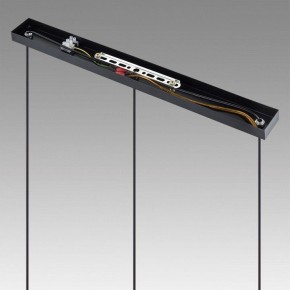 Подвесной светильник Lumion Isha 8101/3A в Можге - mozhga.ok-mebel.com | фото 2