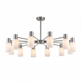 Подвесной светильник Lumion Mave 8099/12C в Можге - mozhga.ok-mebel.com | фото 2