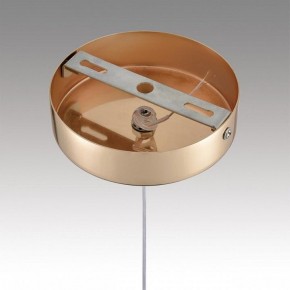 Подвесной светильник Lumion Rimini 8083/1A в Можге - mozhga.ok-mebel.com | фото 7