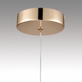 Подвесной светильник Lumion Rimini 8083/1A в Можге - mozhga.ok-mebel.com | фото 9