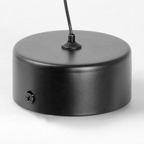 Подвесной светильник Lussole Blount LSP-7356 в Можге - mozhga.ok-mebel.com | фото 6