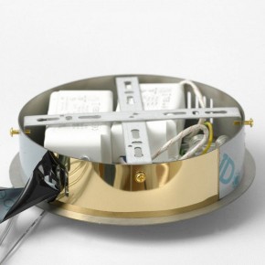 Подвесной светильник Lussole Citrus LSP-7158 в Можге - mozhga.ok-mebel.com | фото 6