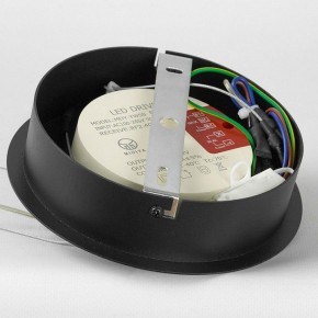 Подвесной светильник Lussole Hale LSP-7381 в Можге - mozhga.ok-mebel.com | фото 6