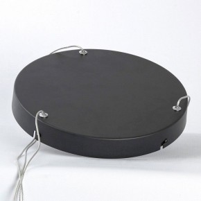 Подвесной светильник Lussole HARDIN LSP-7427 в Можге - mozhga.ok-mebel.com | фото 4