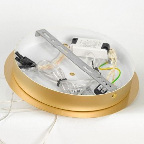 Подвесной светильник Lussole Hopkins LSP-7400 в Можге - mozhga.ok-mebel.com | фото 5