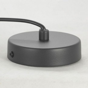 Подвесной светильник Lussole LSP-849 LSP-8490 в Можге - mozhga.ok-mebel.com | фото 6