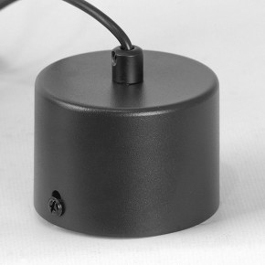 Подвесной светильник Lussole Milam LSP-7450 в Можге - mozhga.ok-mebel.com | фото 7