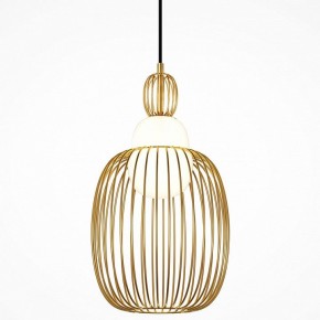 Подвесной светильник Maytoni Levitation MOD376PL-01G1 в Можге - mozhga.ok-mebel.com | фото