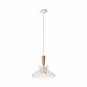 Подвесной светильник Maytoni Toys MOD405PL-01W в Можге - mozhga.ok-mebel.com | фото 2