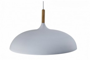 Подвесной светильник Moderli Hygo V11447-1P в Можге - mozhga.ok-mebel.com | фото
