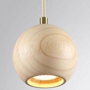 Подвесной светильник Odeon Light Caucho 7061/1 в Можге - mozhga.ok-mebel.com | фото 2