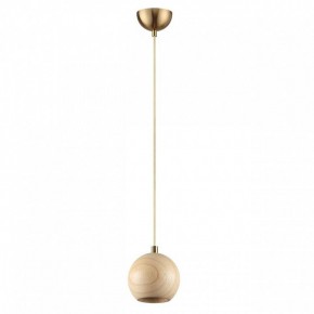 Подвесной светильник Odeon Light Caucho 7061/1 в Можге - mozhga.ok-mebel.com | фото 6