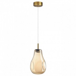 Подвесной светильник Odeon Light Nave 5098/4L в Можге - mozhga.ok-mebel.com | фото 4