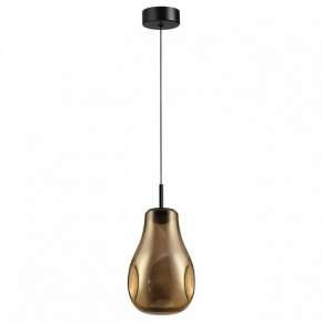 Подвесной светильник Odeon Light Nave 5098/4LA в Можге - mozhga.ok-mebel.com | фото 4
