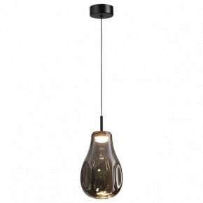 Подвесной светильник Odeon Light Nave 5098/4LC в Можге - mozhga.ok-mebel.com | фото 2