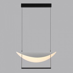 Подвесной светильник Odeon Light Next 7015/20L в Можге - mozhga.ok-mebel.com | фото 4