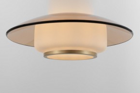 Подвесной светильник Rivoli Camille Б0061901 в Можге - mozhga.ok-mebel.com | фото 11