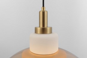 Подвесной светильник Rivoli Camille Б0061901 в Можге - mozhga.ok-mebel.com | фото 12