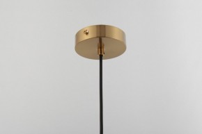 Подвесной светильник Rivoli Camille Б0061901 в Можге - mozhga.ok-mebel.com | фото 14