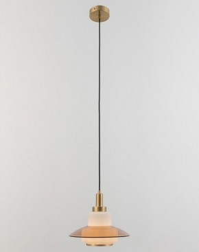 Подвесной светильник Rivoli Camille Б0061901 в Можге - mozhga.ok-mebel.com | фото 4