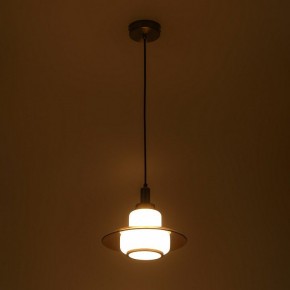 Подвесной светильник Rivoli Camille Б0061901 в Можге - mozhga.ok-mebel.com | фото 6