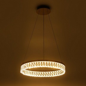Подвесной светильник Rivoli Erika Б0061968 в Можге - mozhga.ok-mebel.com | фото 7