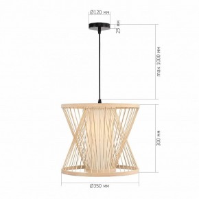 Подвесной светильник ST-Luce ALMA SL6241.503.01 в Можге - mozhga.ok-mebel.com | фото 5