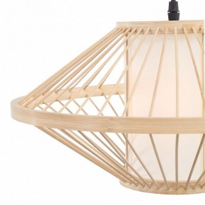 Подвесной светильник ST-Luce ALMA SL6241.533.01 в Можге - mozhga.ok-mebel.com | фото 6