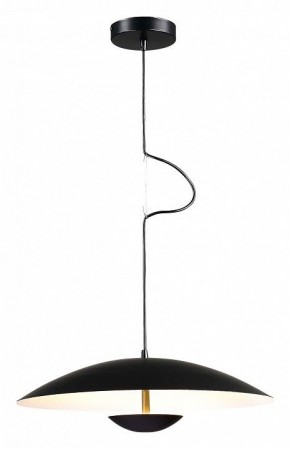 Подвесной светильник ST-Luce Armonico SL6502.403.01 в Можге - mozhga.ok-mebel.com | фото 2