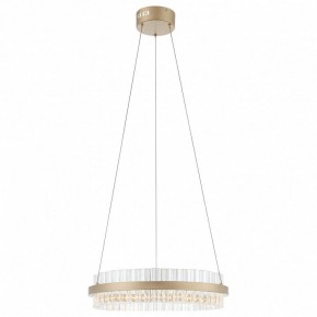 Подвесной светильник ST-Luce Cherio SL383.203.01 в Можге - mozhga.ok-mebel.com | фото 3