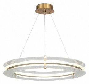 Подвесной светильник ST-Luce FAGY SL6245.203.01 в Можге - mozhga.ok-mebel.com | фото 2