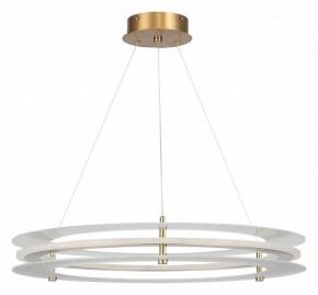 Подвесной светильник ST-Luce FAGY SL6245.203.01 в Можге - mozhga.ok-mebel.com | фото 3