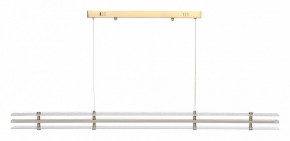 Подвесной светильник ST-Luce FAGY SL6245.223.01 в Можге - mozhga.ok-mebel.com | фото 3