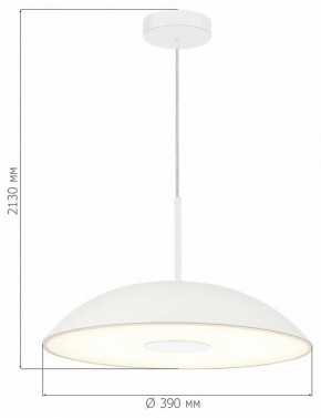Подвесной светильник ST-Luce Lido SL6128.503.01 в Можге - mozhga.ok-mebel.com | фото 4