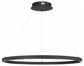 Подвесной светильник ST-Luce PARILLA SL6238.443.01 в Можге - mozhga.ok-mebel.com | фото 2