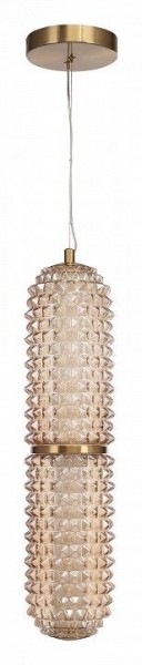 Подвесной светильник ST-Luce SAGUARO SL6144.303.01 в Можге - mozhga.ok-mebel.com | фото 3