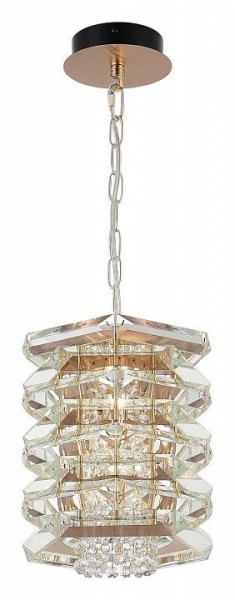 Подвесной светильник ST-Luce STROZZI SL6137.203.01 в Можге - mozhga.ok-mebel.com | фото 4