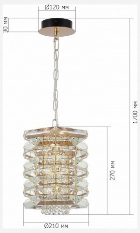 Подвесной светильник ST-Luce STROZZI SL6137.203.01 в Можге - mozhga.ok-mebel.com | фото 5