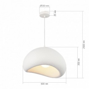 Подвесной светильник ST-Luce WABI SABI SL1522.513.01 в Можге - mozhga.ok-mebel.com | фото 5