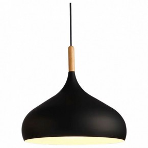 Подвесной светильник TopDecor Molto Molto S1 12 в Можге - mozhga.ok-mebel.com | фото
