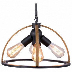 Подвесной светильник TopLight Jasmin TL1179H-04BK в Можге - mozhga.ok-mebel.com | фото