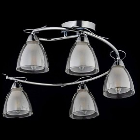 Потолочная люстра Arti Lampadari Paola, Tavenna Nickel Paola E 1.1.5 N в Можге - mozhga.ok-mebel.com | фото 2